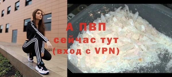 Альфа ПВП Верея